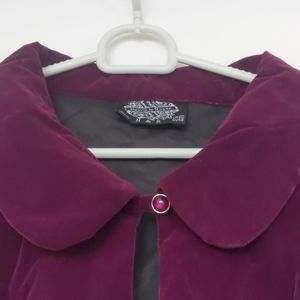 Vintage A line velvet dress